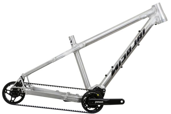 ARGON FAT PINION - 2022