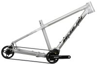 ARGON FAT PINION - 2022