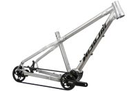 ARGON FAT PINION - 2022